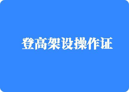 黄色抠逼视频观看网站登高架设操作证