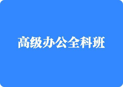 高级办公全科班